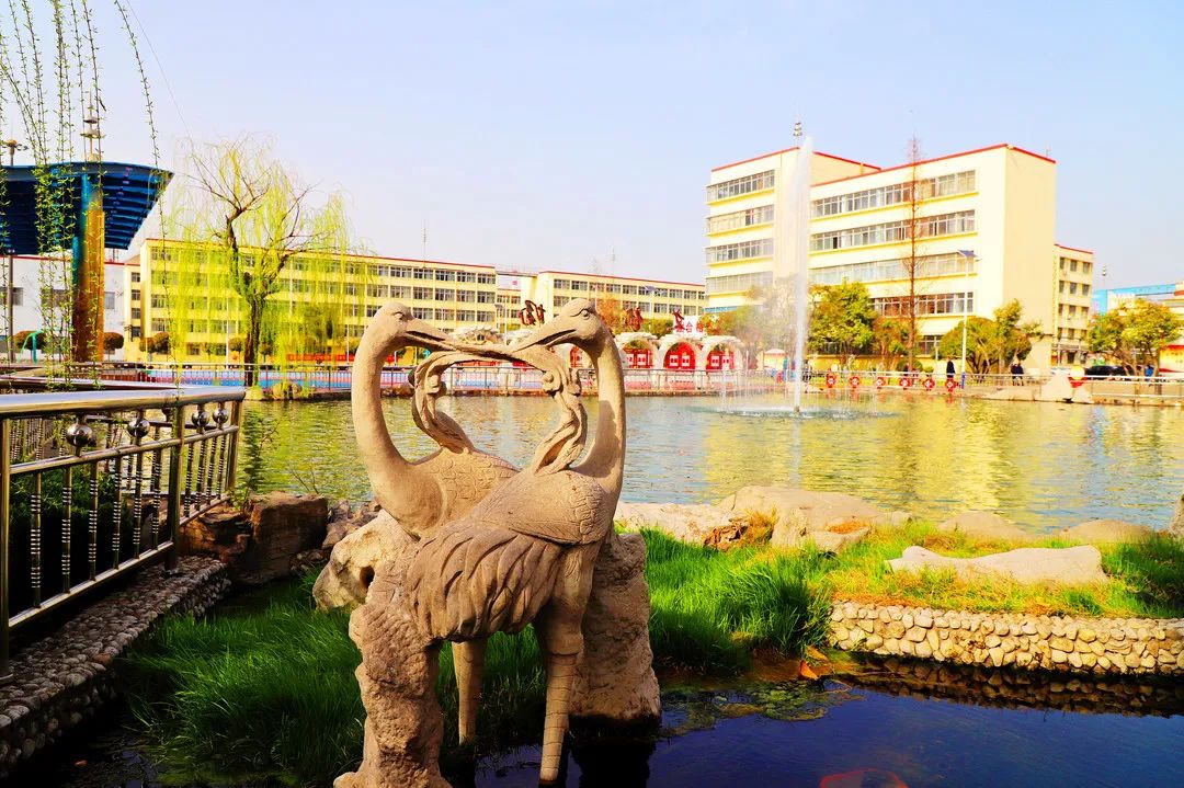 沉舟侧畔千帆过 病树前头万木春.JPG