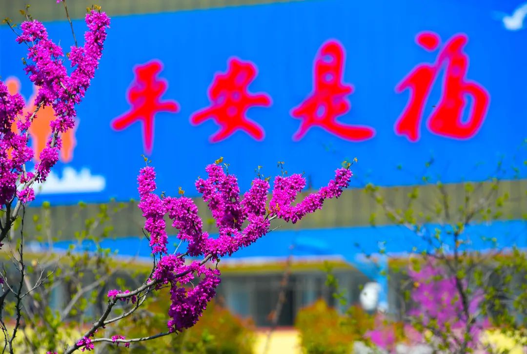 平安是福 高煤公司 杨绳东.jpg