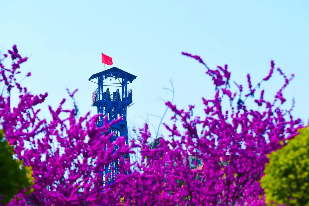 花开矿山 高煤公司 杨绳东.jpg