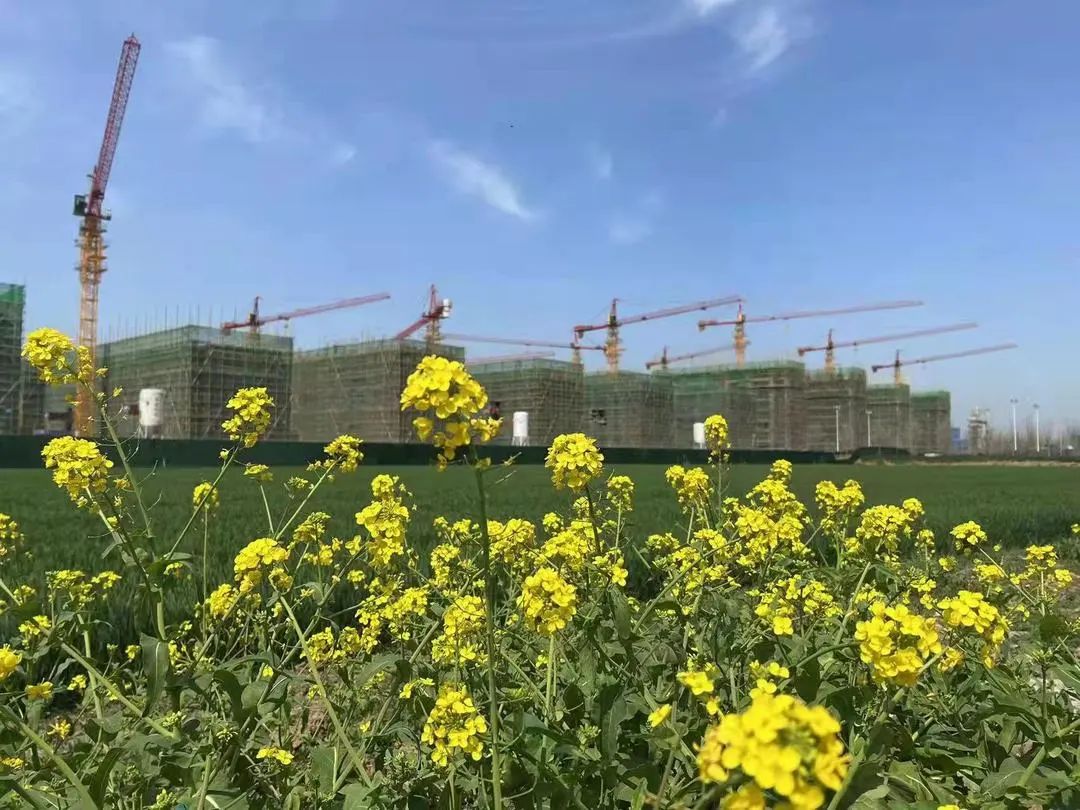 春暖花开,万事胜“疫”1 (1).jpg